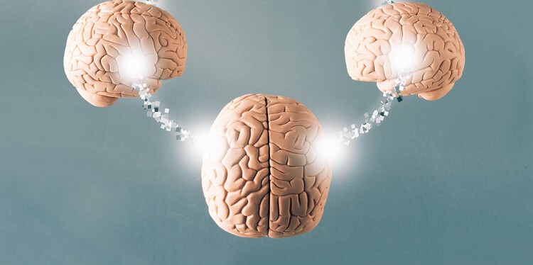 RickmanAndrew's tweet card. Communication is really “a single act performed by two brains,” a neuroscientist claims.