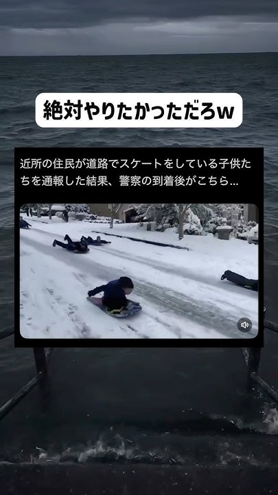 TjpImingutter's tweet card. 警察「俺も混ぜてよ！」 #おすすめ #twitter #おもしろ #爆笑 #すごい