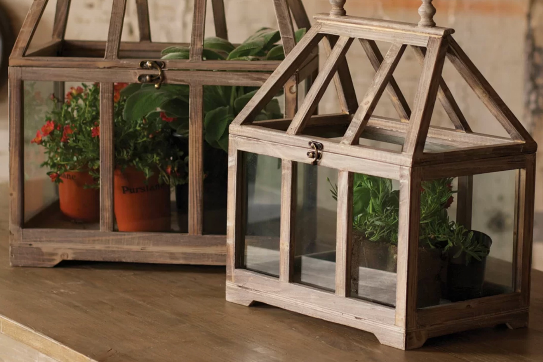 improveyourPLB's tweet card. I don’t need to convince you of just how delightful terrariums are; their charms are obvious. Each one is a rainforest in miniature, lush with all kinds of gorgeous plants and blooms. Add a few...