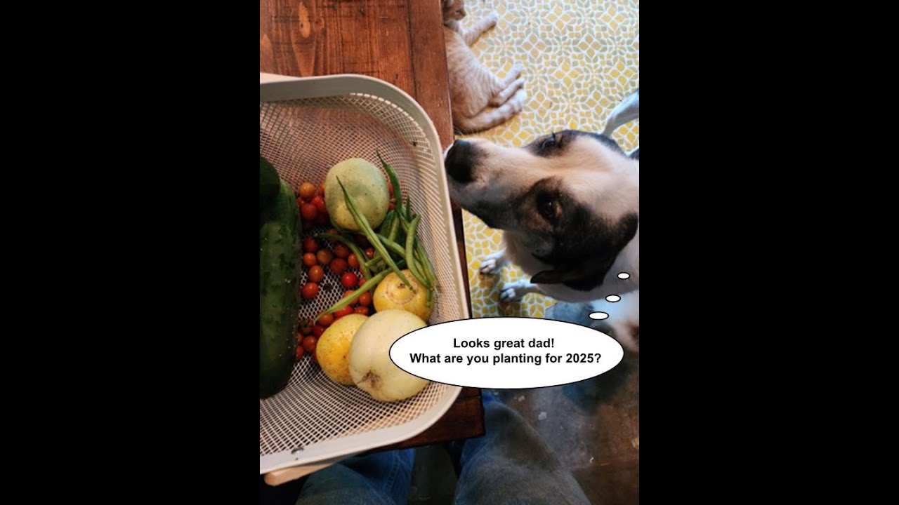 BreezyWillowFrm's tweet card. Plants we are growing in zone 8 for the 2025 garden season!