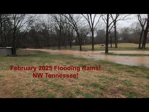 BreezyWillowFrm's tweet card. February 2025 Flooding Rains! NW Tennessee! New Puppies and udder...