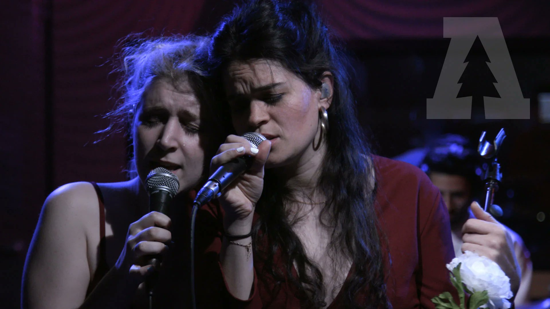 Create_Control's tweet card. Overcoats on Audiotree Live (Full Session)