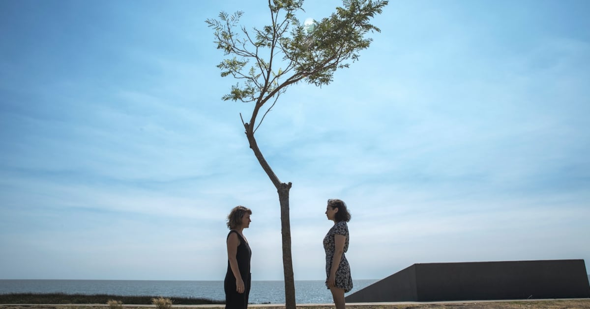 TrenCine's tweet card. La película vuelve a reunir a la directora Laura Citarella con la actriz Laura Paredes, una de las integrantes del grupo Piel de Lava