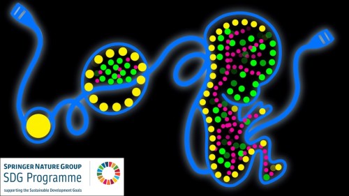 StemCellNetwork's tweet card. This Collection invites research leveraging experimental and theoretical models, and advanced research tools to study human development.