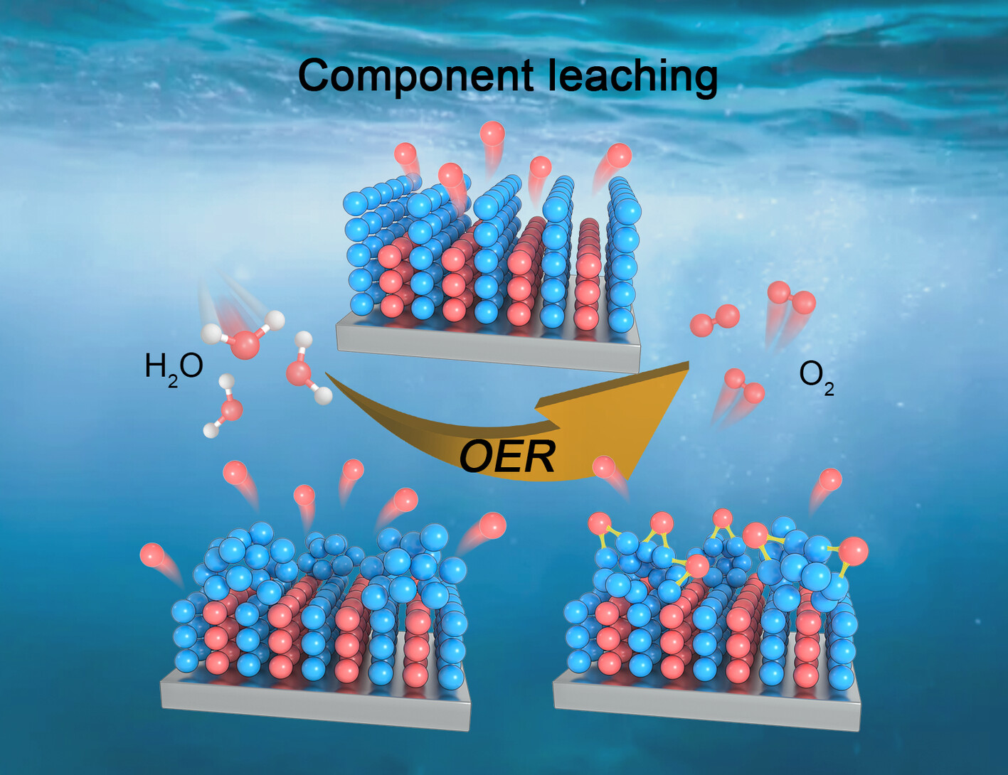 ChaoyiInfoMat6's tweet card. Most catalysts have been observed to undergo surface reconstruction in water oxidation. During the structure evolution of catalysts, component leaching is the most common phenomenon. This review...