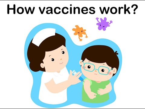 Dr_Manobala's tweet card. How vaccines work?