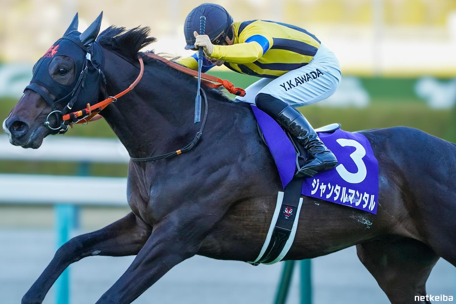 netkeiba's tweet card. ジャンタルマンタル (Jantar Mantar)の競走馬データです。競走成績、血統情報、産駒情報などをはじめ、50万頭以上の競走馬、騎手・調教師・馬主・生産者の全データがご覧いただけます。