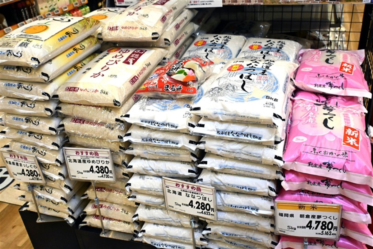 ModelshipFlag3's tweet card. 高止まりするコメ価格に、九州の生産者や流通業者の間で戸惑いが広がる。生産が拡大した2025年産が余り、価格下落の可能性が出てきたためだ...｜西日本新聞meは、九州のニュースを中心に最新情報を伝えるニュースサイトです。九州・福岡の社会、政治、経済などのニュースを提供します。