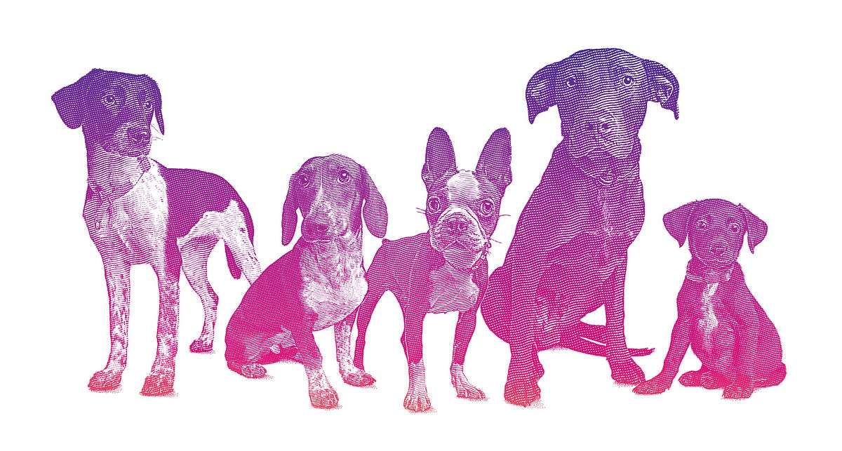 wondersmith_rae's tweet card. An Investigation by Tokyo_v2 and wondersmith_rae