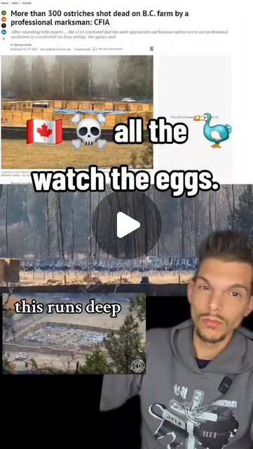 javmerc's tweet card. Moon Henry (@realmoonhenry) • Instagram reel