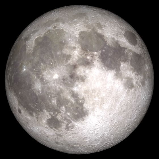 Ri_Science's tweet card. "It will be bright and brilliant and absolutely gorgeous."