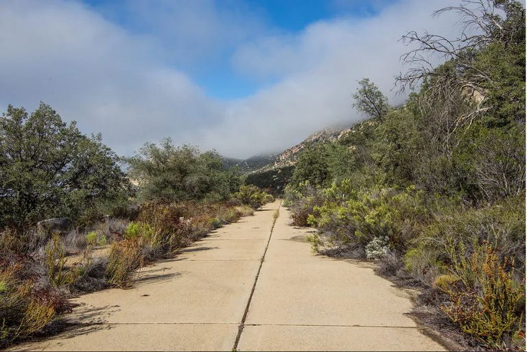 rlunao's tweet card. We need to decarbonize not just to save the world, but to save our ability to live within it.