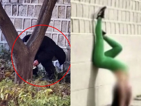 RBBTODAY's tweet card. 韓国を代表する文化遺産である景福宮（キョンボックン）一帯で、外国人観光客による度を越えた逸脱行為が相次いで目撃されている。