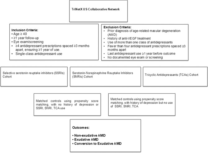 ophthopedia's tweet card. To evaluate the association between antidepressant use and the risk of developing nonexudative and exudative age-related macular degeneration (AMD), as well as the progression from nonexudative to...