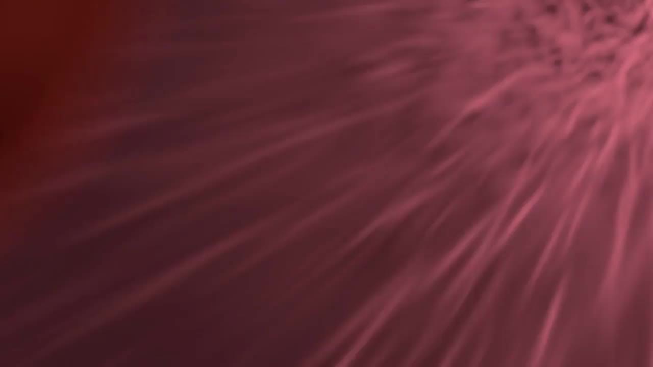 StrydeSolutions's tweet card. Cafeteria 125 Program