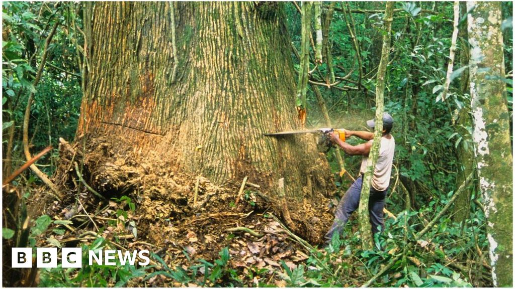 planet's tweet card. Norway pays for a monthly satellite dataset to track the state of the world's tropical forests.