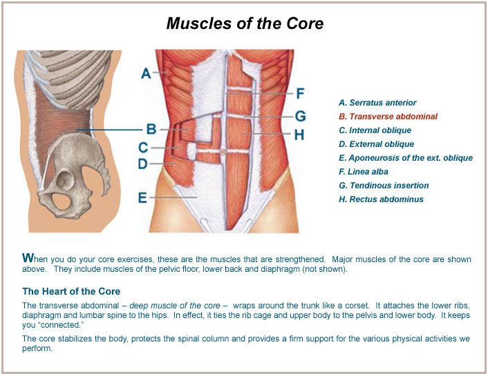 backfixer's tweet card. How to improve the effeciveness of your core