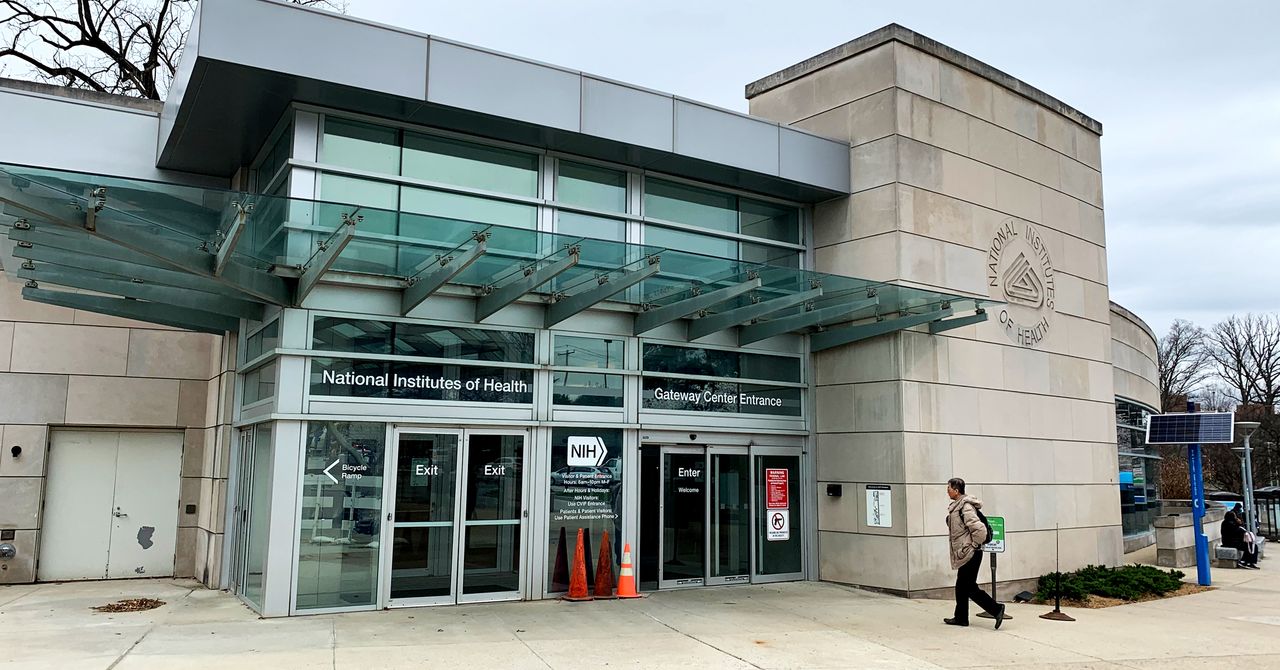 WIRED's tweet card. Leading scientists at the National Institutes of Health, the US’s leading medical research agency, were swept up Tuesday in the Trump administration’s latest firing blitz.