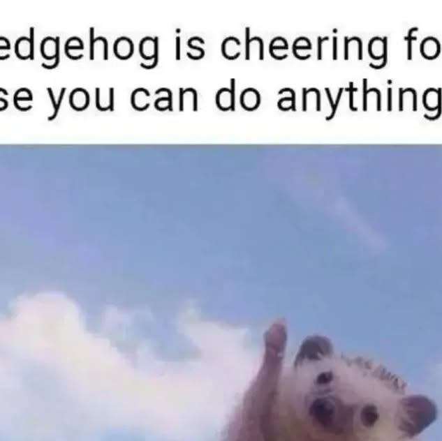 JanssenHelm's tweet card. HEDGEHOG (@hedgehog_lover_life) • Instagram photo