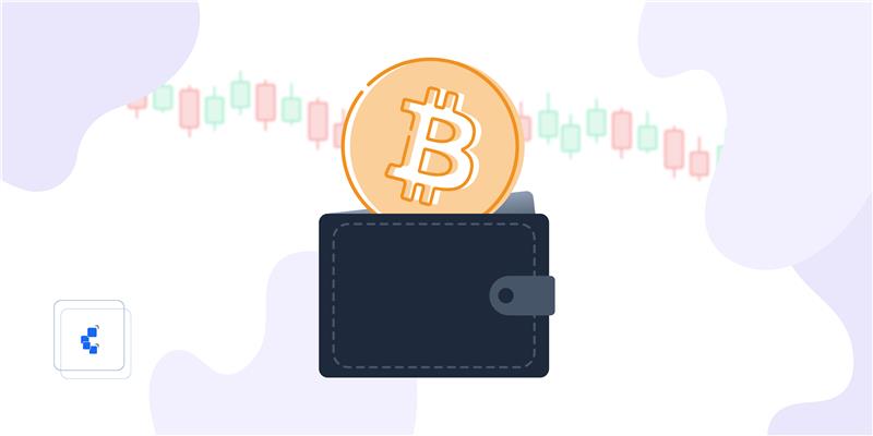 CriptoNoticias's tweet card. Holdear promueve entre inversionistas la paciencia, disciplina y confianza en Bitcoin.