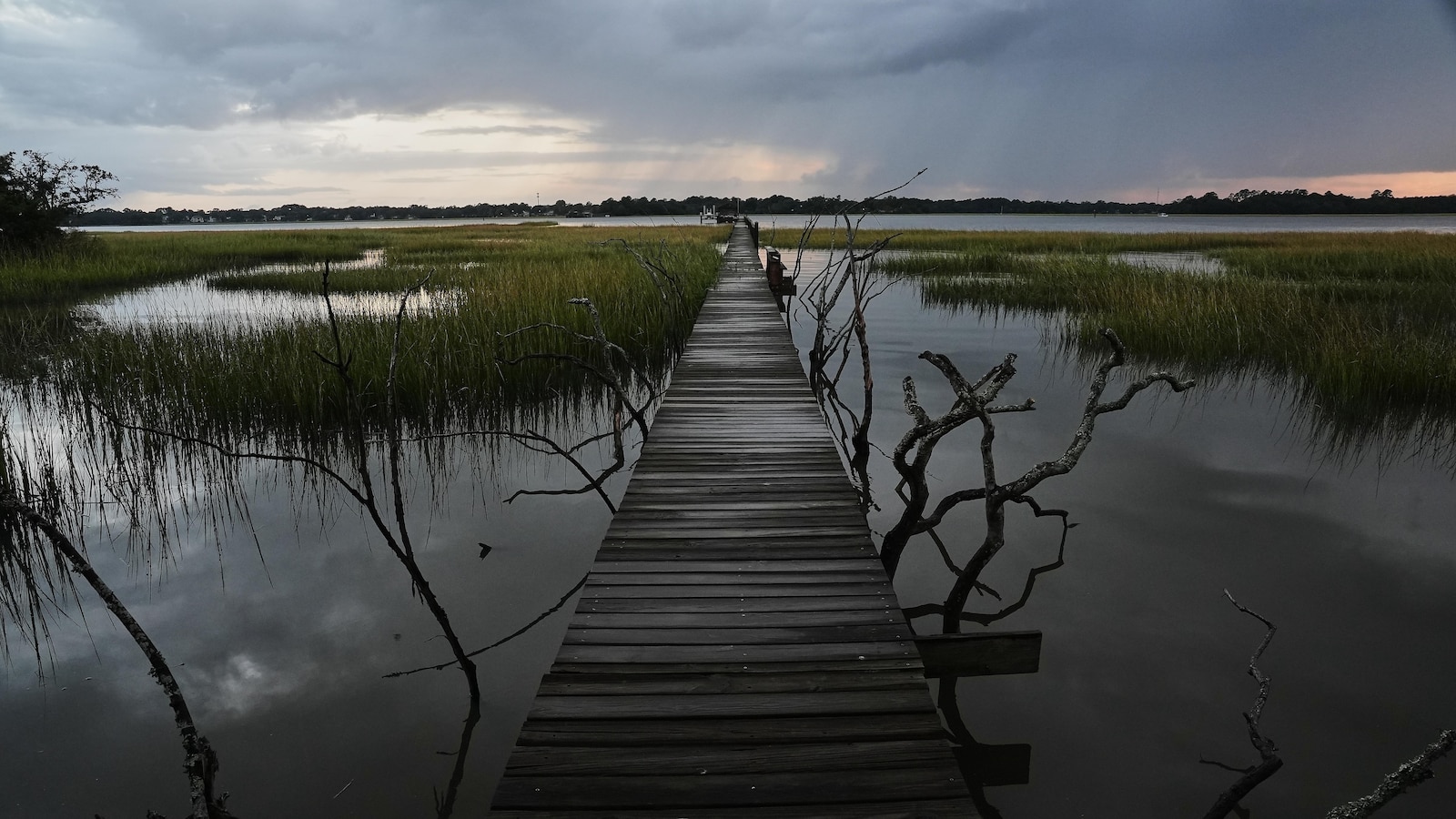 RepRashida's tweet card. The Environmental Protection Agency says it is redefining the scope of the nation’s bedrock clean water law to limit the amount of wetlands it covers