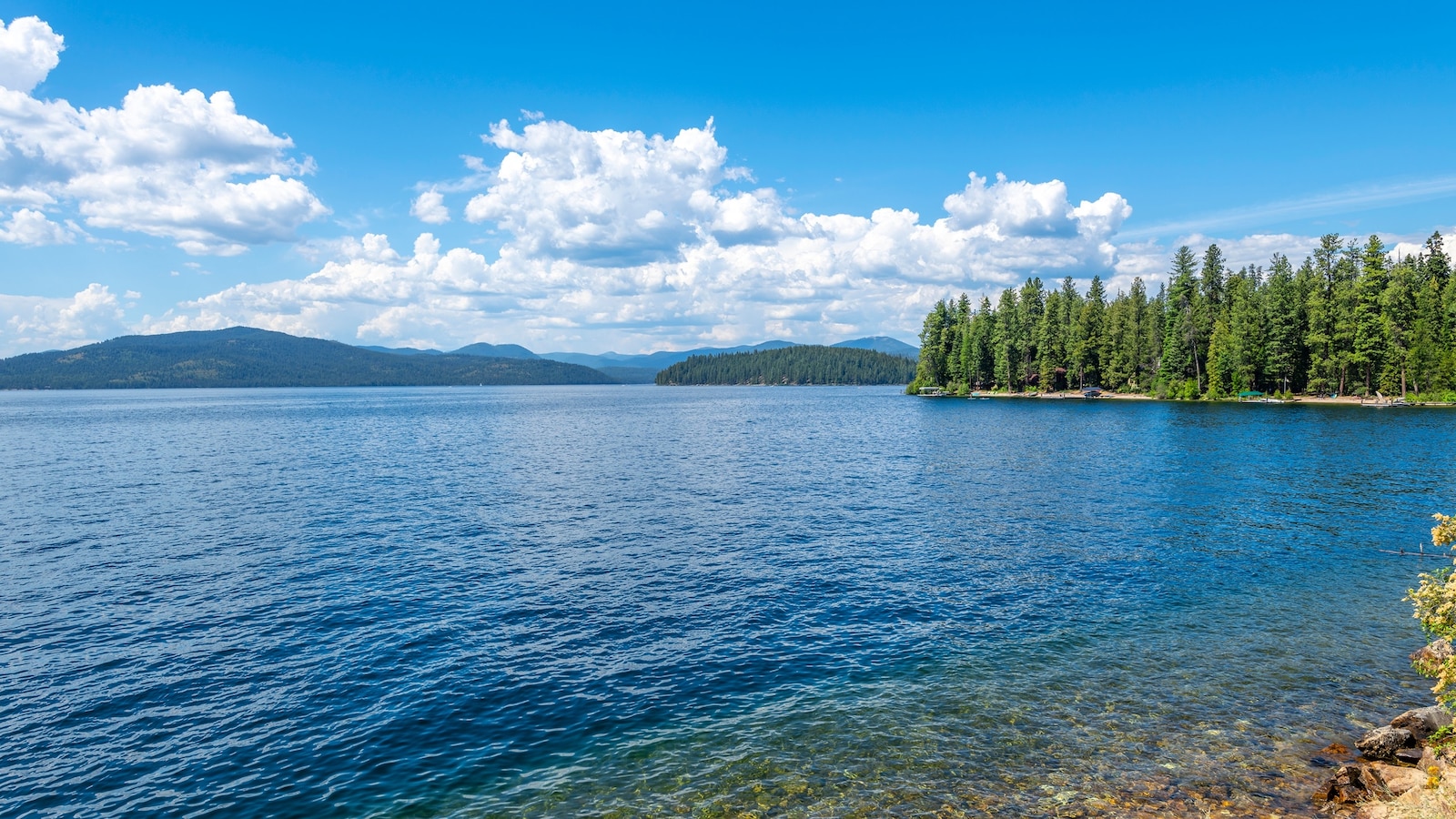 ABC's tweet card. The Environmental Protection Agency has proposed limits to protected waters under a new interpretation of the Clean Water Act.