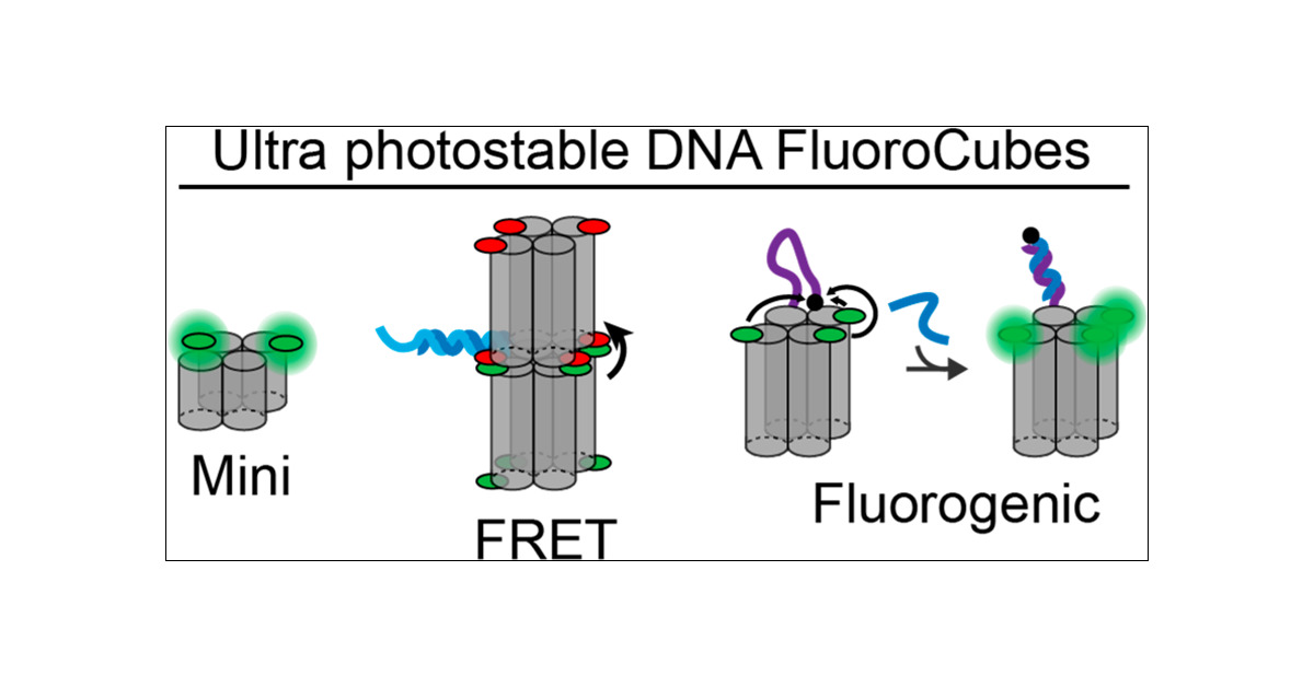 DNA_MechTech's tweet card. DNA-based FluoroCubes were recently developed as a solution to photobleaching, which is a ubiquitous limitation of fluorescence microscopy (Niekamp; ; Stuurman; ; Vale Nature Methods, 2020). Fluoro...
