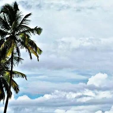 Iarunmohan's tweet card. Arun (@timelessuniverse) • Instagram photo