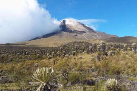 EcolectivoOrg's tweet card. This program is based on two components: the first in the accompaniment and creation of natural reserves of civil society and the second in the creation and strengthening of the culture of respect...