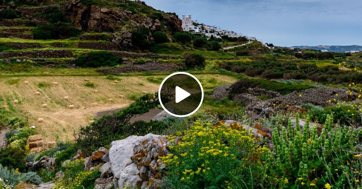 radioprogramme's tweet card. 10-4 Good Buddy!