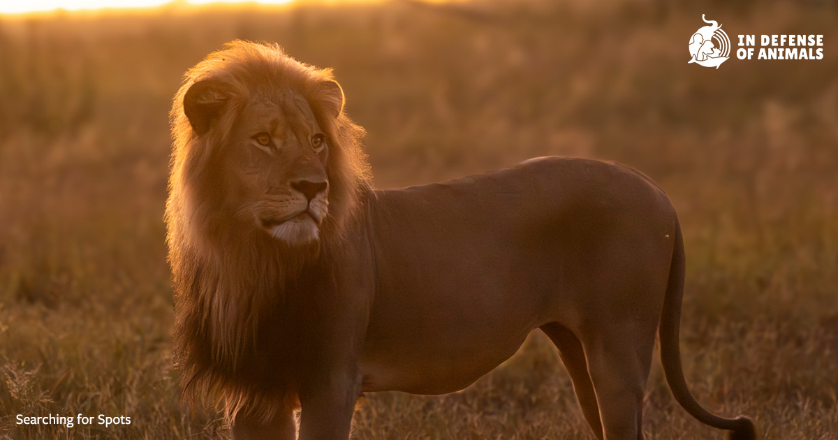 DaveandRitaCros's tweet card.  