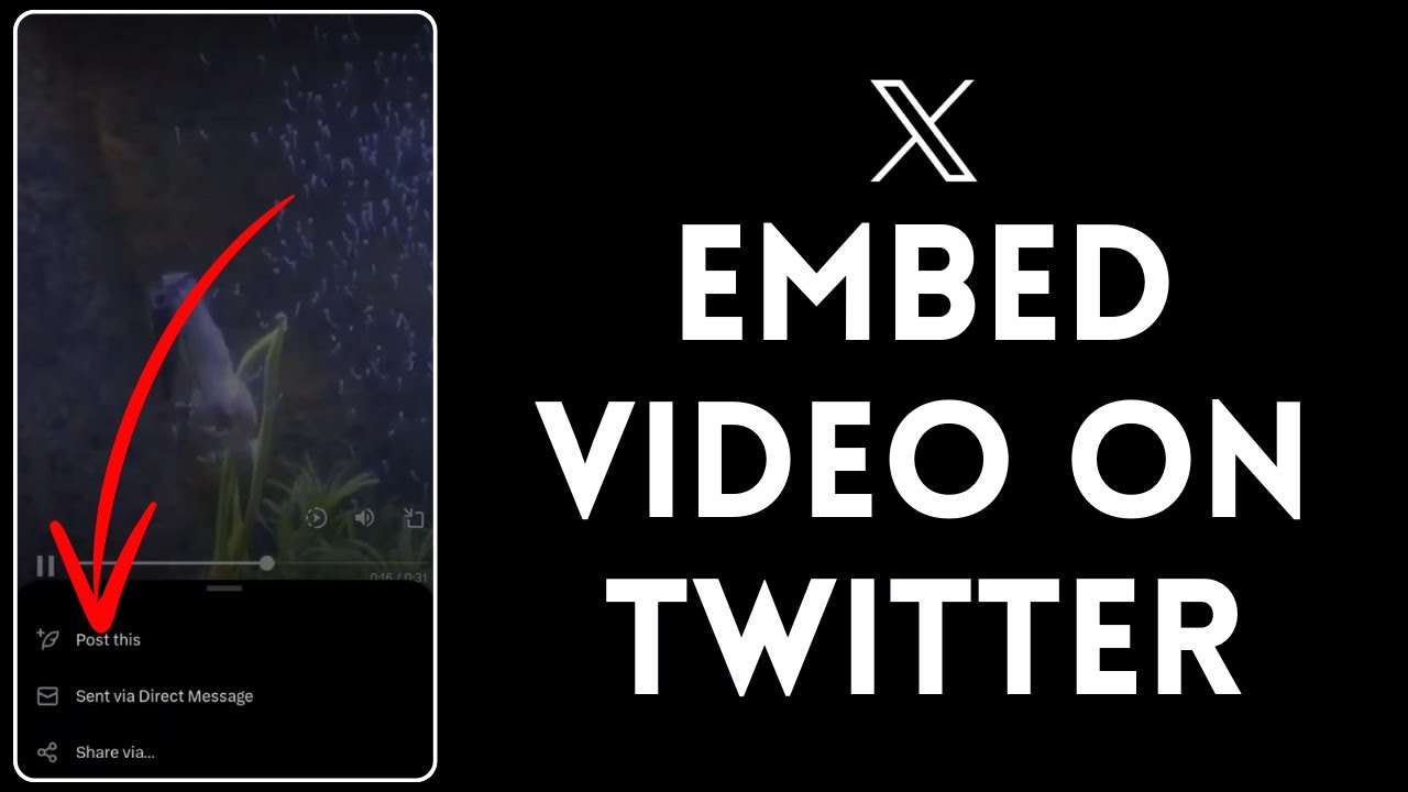 NicolesChoice1's tweet card. How to Embed Video on Twitter 2024 | Twitter Tutorial