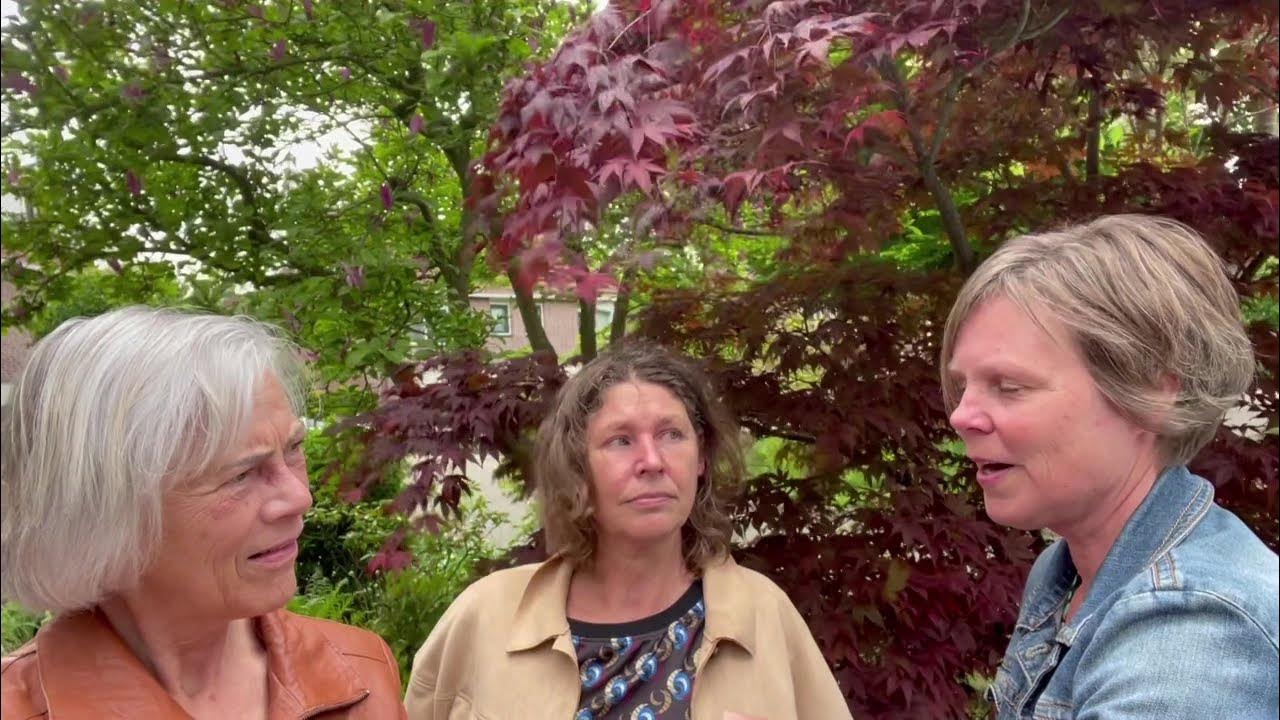 jacq_leeuwen's tweet card. Paula Kager over hybride sessies en vergaderingen