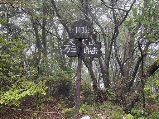 bgr_toc's tweet card. ★★ Camp STAR ★★