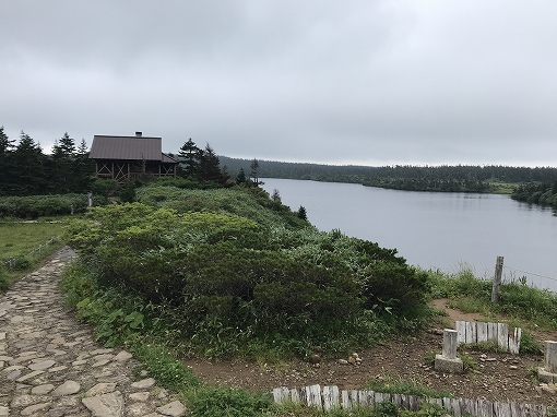 bgr_toc's tweet card. ★★ Camp STAR ★★