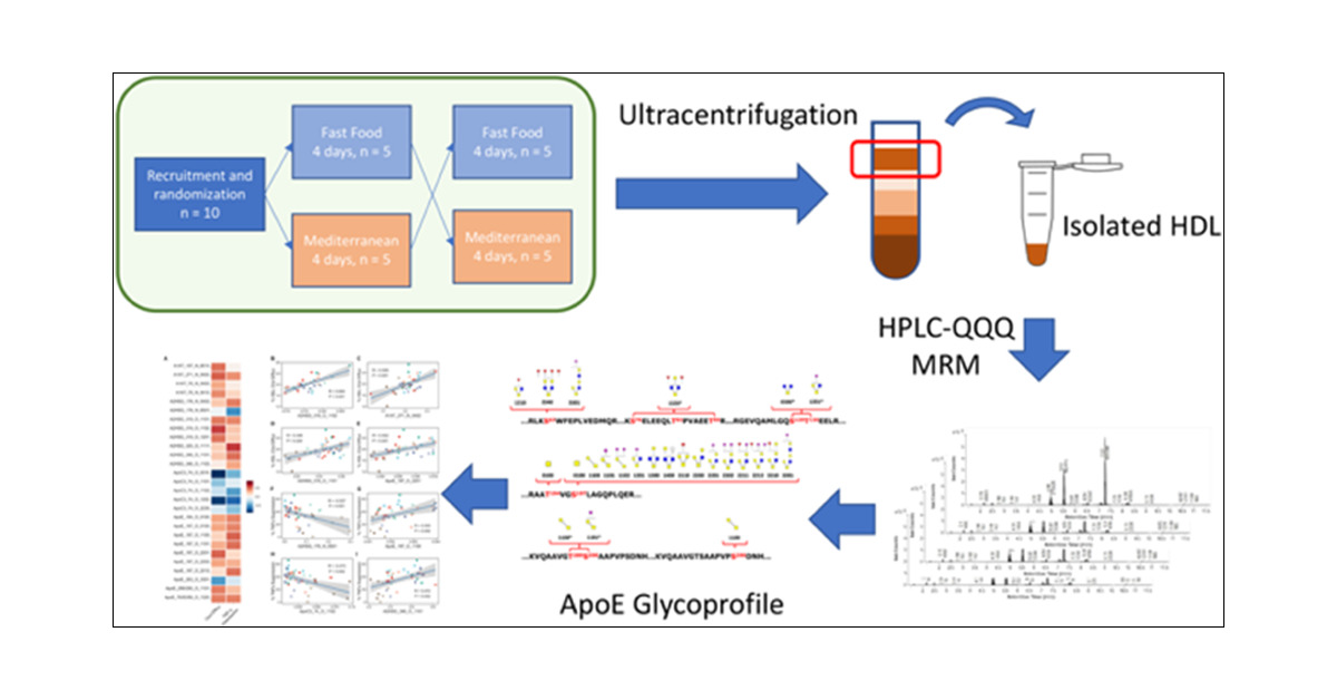 realBioMassSpec's tweet card. Since high-density lipoprotein (HDL) glycoprofiles are associated with HDL functional capacity, we set out to determine whether diet can alter the glycoprofiles of key HDL-associated proteins,...