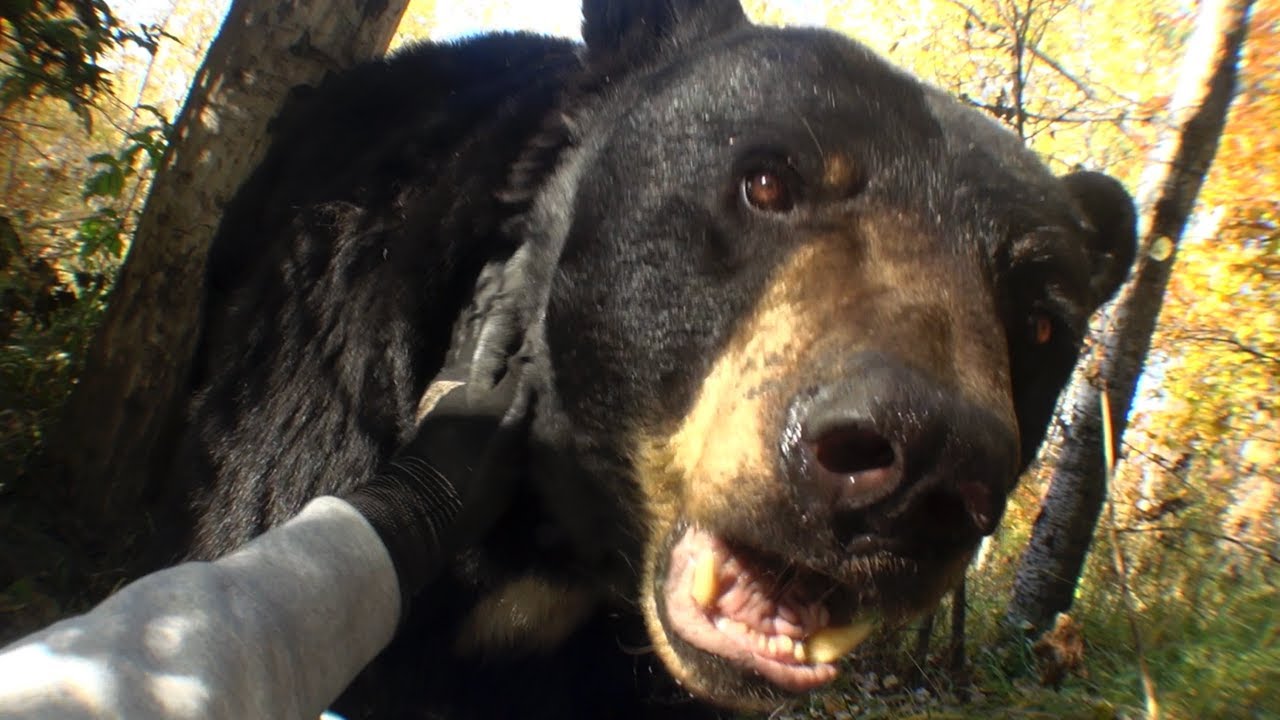 Lib1doriaN's tweet card. Joji - Past Won't Leave My Bed (Official Video)