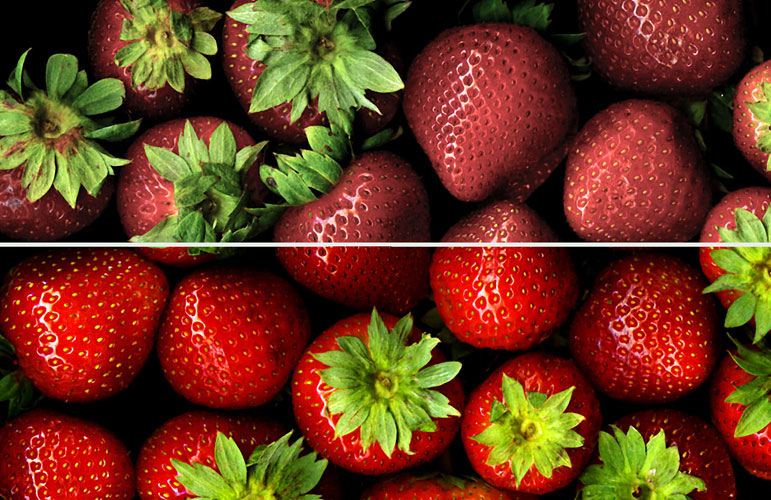 PrincipalLED's tweet card. LEDs as the most popular medium to create sign masterpieces, but it's important to understand how color is created and manipulated in LEDs.