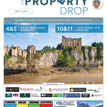 Tweet card summary image