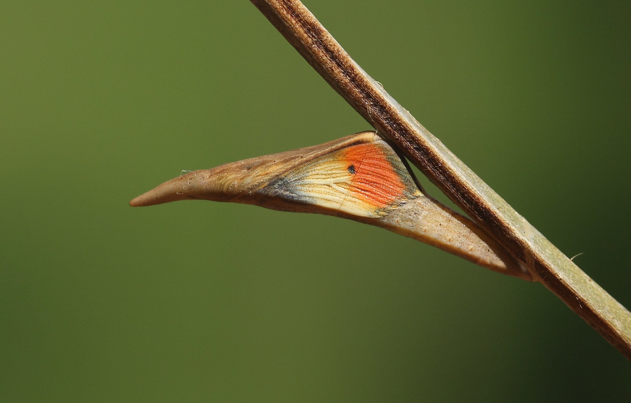 questcomputer's tweet card. There are free and open-source software applications that offer free file conversion, removing the need to go into the badlands online.