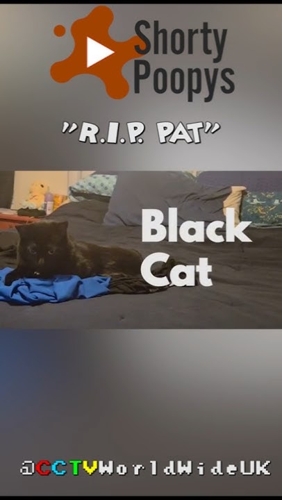 SuperCleanCrew's tweet card. R.I.P. Pat #postmanpat #youtubepoop