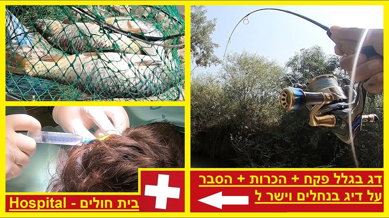design_by_mike's tweet card. תאונת דיג + דג בזכות פקח + הסבר על דיג בנחלים + הכרות | Fishing...