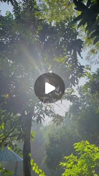 HossanSharid's tweet card. Shohan Hossain Sharid (@shohanhossansharid) • Instagram reel