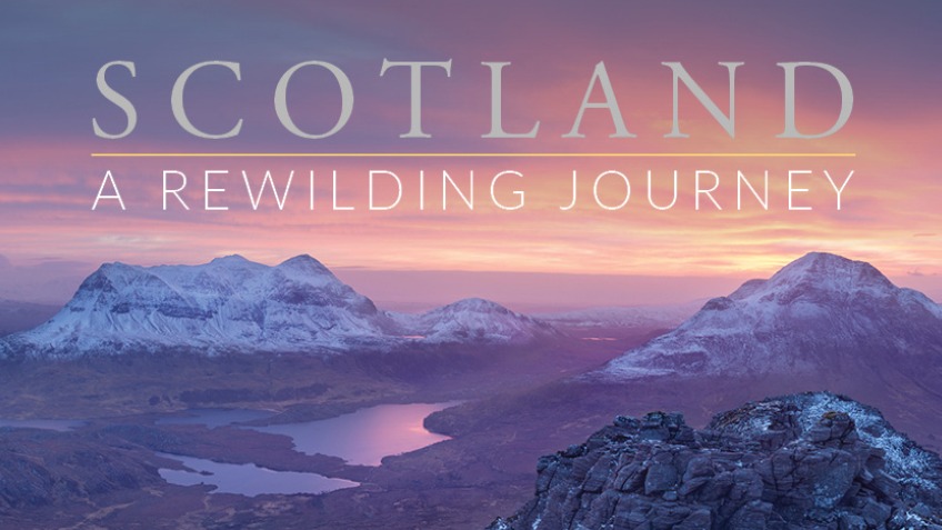 treesforlifeuk's tweet card. Following the success of our Rewilding Journey book crowdfunder, we are now accepting ongoing donations of support.