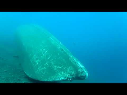 MissionRobotics's tweet card. Mission Robotics Test Dive (July 29, 2020)