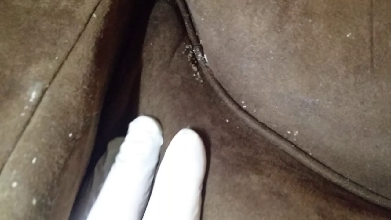 ProCorePest's tweet card. Bad Bed Bug Infestation and How to Inspect