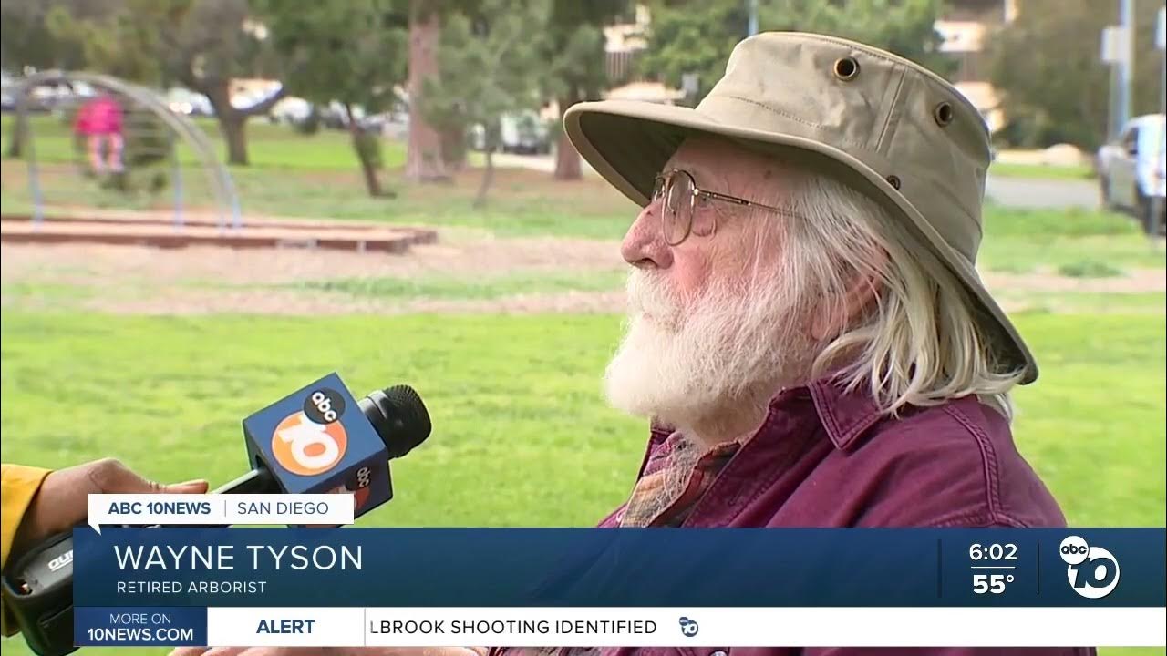 WaleAliyu's tweet card. Should California get rid of all eucalyptus trees?