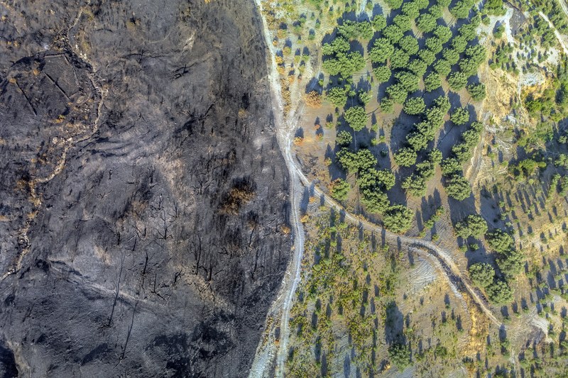 IlkkaJLeinonen's tweet card. Europe’s forests and land are absorbing less carbon than expected, putting the 2030 target for the sector at risk. But with the right policies and measures, the land use and forestry sector could...