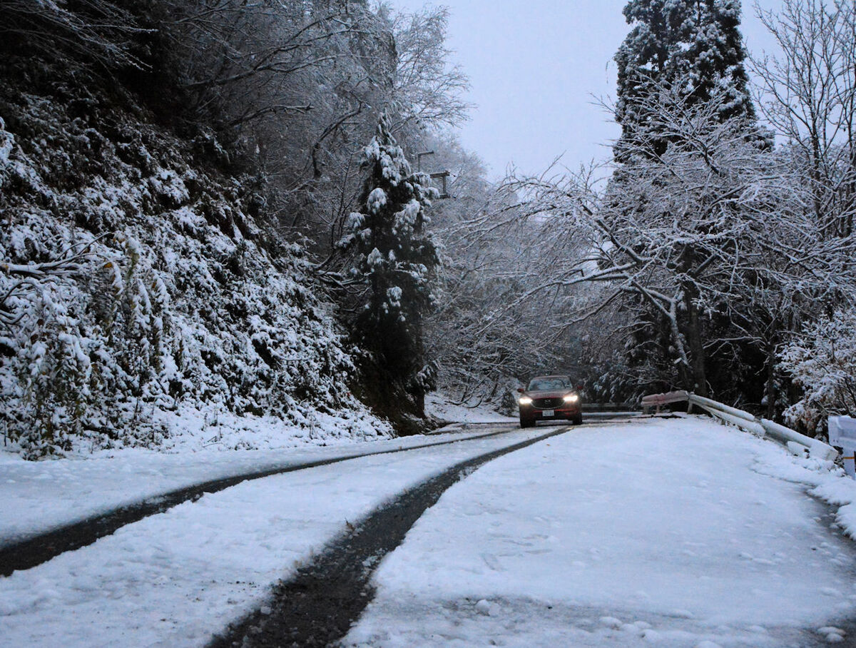 zerosum_'s tweet card. 強い冬型の気圧配置となった１９日朝、京都府内は標高の高い山地を中心に今季初めての雪となった。京都市左京区の峠道は一面の雪景色となり、山里の…