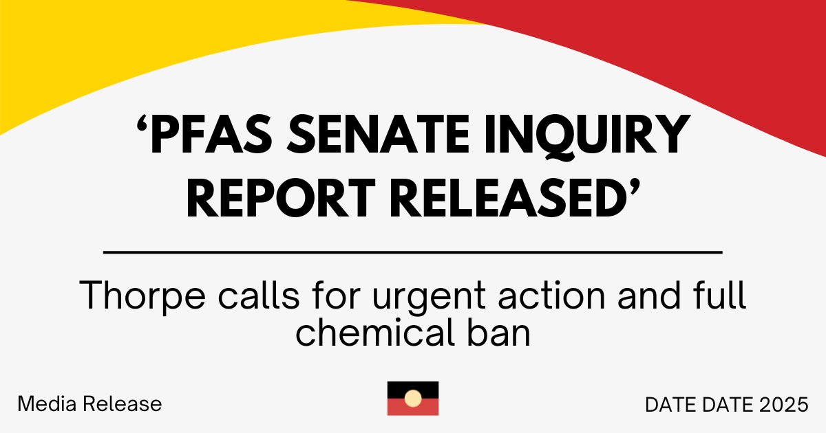 SenatorThorpe's tweet card. Lidia Thorpe is a Gunnai, Gunditjmara and Djab Wurring Senator for Victoria representing the Blak Sovereign Movement in Federal Parliament